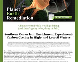 Planet Earth Remediation